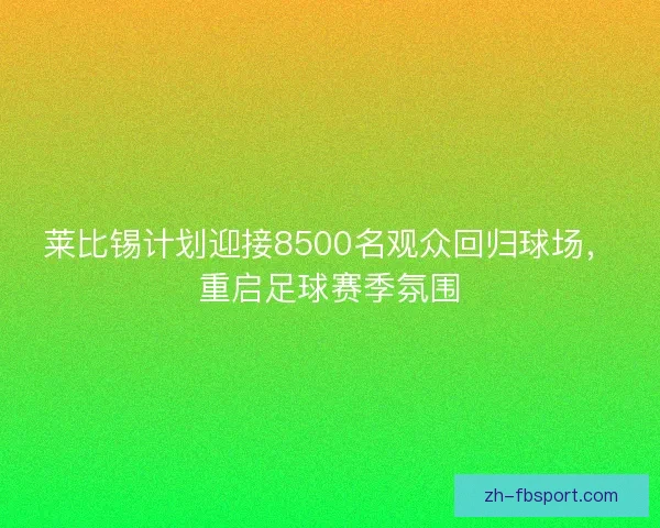莱比锡计划迎接8500名观众回归球场，重启足球赛季氛围