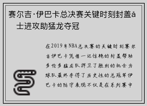 赛尔吉·伊巴卡总决赛关键时刻封盖勇士进攻助猛龙夺冠