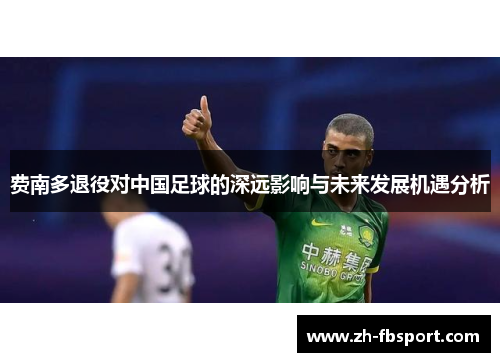 费南多退役对中国足球的深远影响与未来发展机遇分析