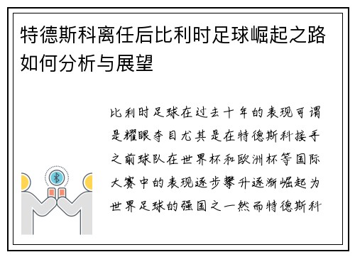 特德斯科离任后比利时足球崛起之路如何分析与展望
