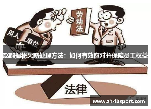 赵鹏揭秘欠薪处理方法：如何有效应对并保障员工权益